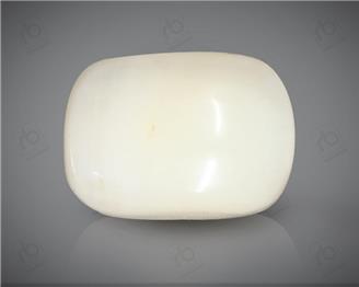 Natural White Coral ( Safed Moonga) Certified  11.09 CTS. ( 91476 )